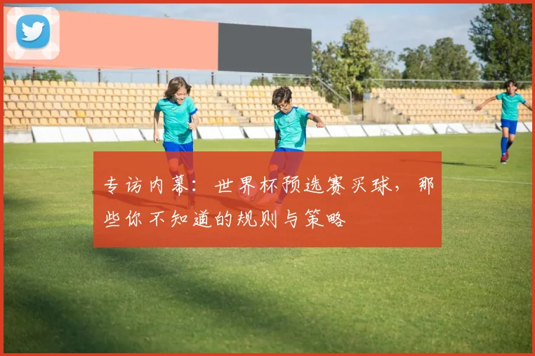 专访内幕:世界杯预选赛买球,那些你不知道的规则与策略