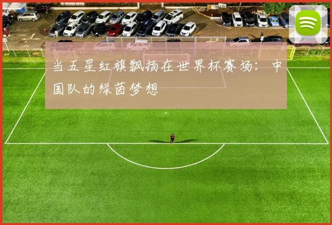 当五星红旗飘扬在世界杯赛场：中国队的绿茵梦想