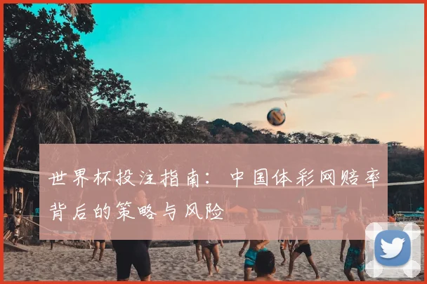 世界杯投注指南：中国体彩网赔率背后的策略与风险