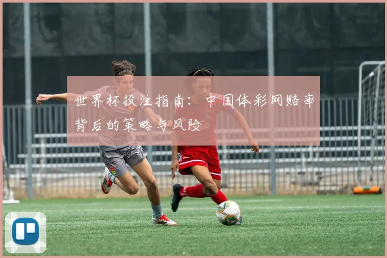 世界杯投注指南：中国体彩网赔率背后的策略与风险