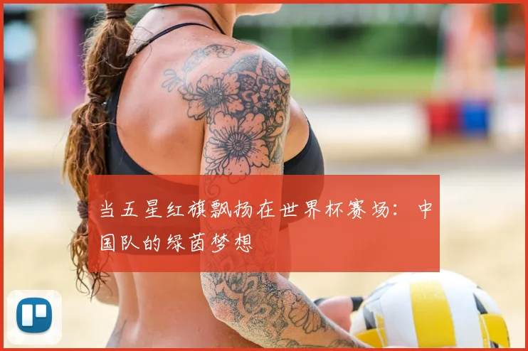 当五星红旗飘扬在世界杯赛场：中国队的绿茵梦想