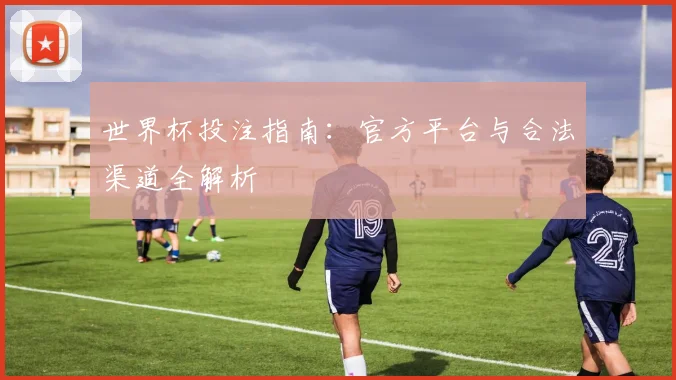 世界杯投注指南：官方平台与合法渠道全解析