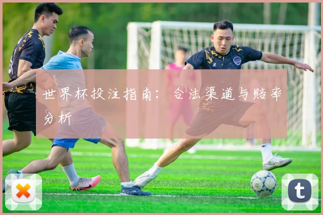 世界杯投注指南：合法渠道与赔率分析