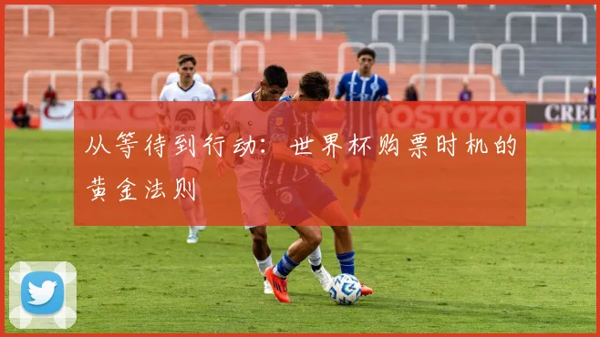 从等待到行动：世界杯购票时机的黄金法则