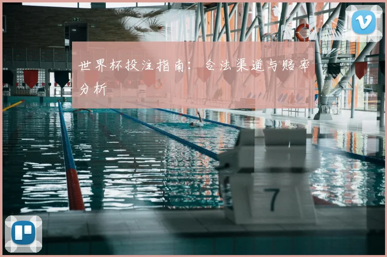 世界杯投注指南：合法渠道与赔率分析