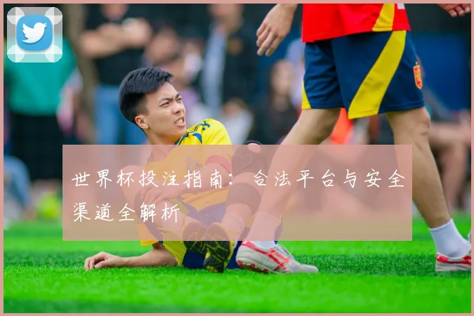 世界杯投注指南：合法平台与安全渠道全解析