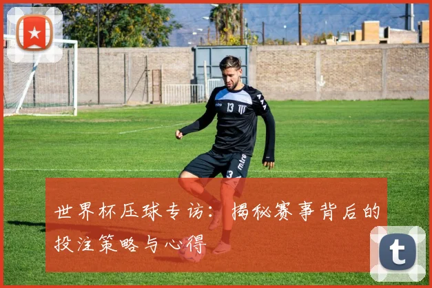 世界杯压球专访：揭秘赛事背后的投注策略与心得