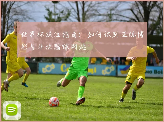 世界杯投注指南：如何识别正规博彩与非法赌球网站
