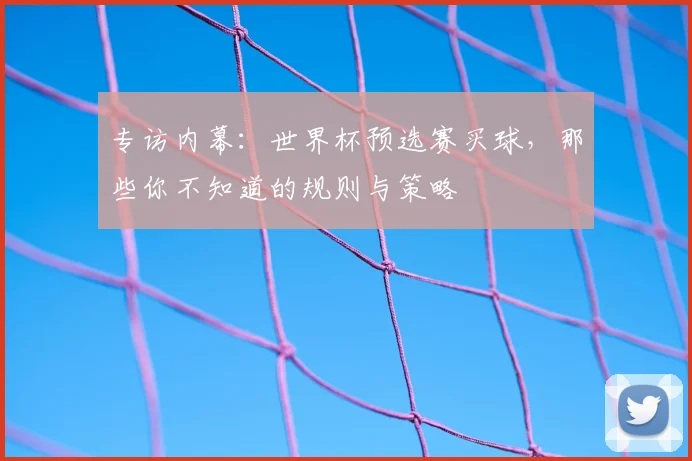 专访内幕:世界杯预选赛买球,那些你不知道的规则与策略