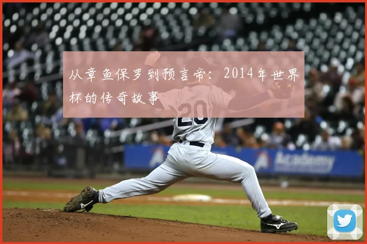 从章鱼保罗到预言帝：2014年世界杯的传奇故事