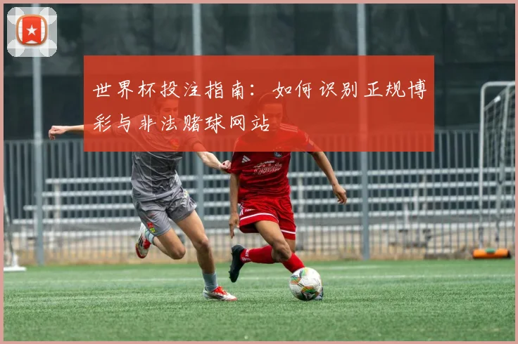 世界杯投注指南：如何识别正规博彩与非法赌球网站