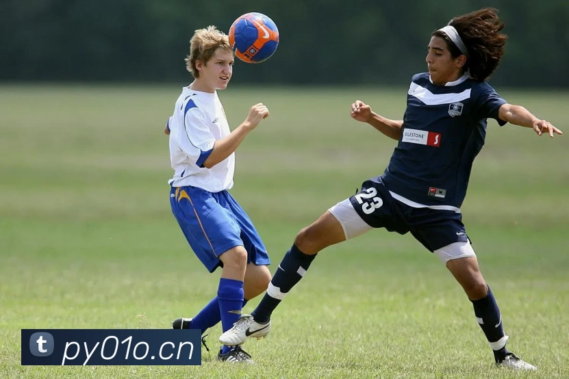 leyu乐鱼官方官网APP 体育赛事宣传图